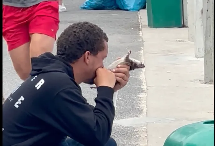 Video e të pastrehut në Cape Twon e përdorur për të shpërndarë dezinformim për emigrantët në Spanjë